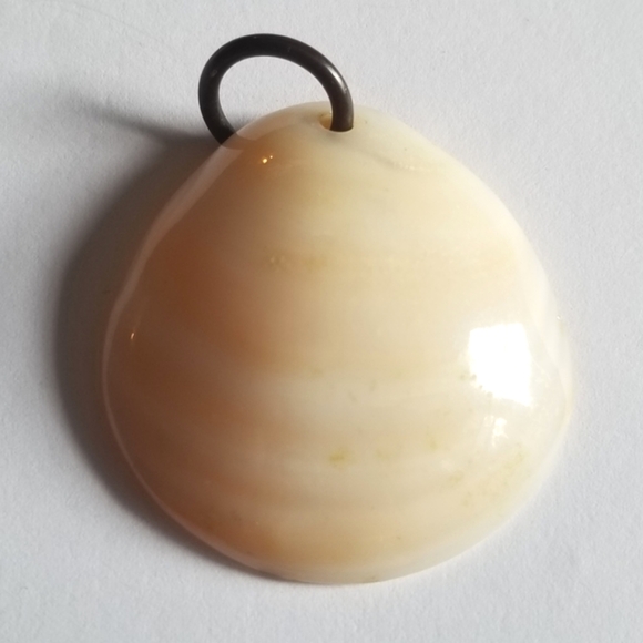 Vintage Jewelry - Vintage seashell pendant mother of pearl ocean coastal gold tone beach shell